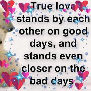 Meet your Posher, Peggy